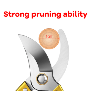 Pruning Shears for Fruit Trees <strong>Branch</strong> <strong>Cutting</strong> <strong>Tools</strong> for Landscaping Flower Shears for Trimming Gardening Scissors - Product Image 2