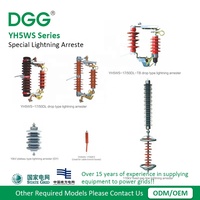 Parafoudre à oxyde métallique DGG pour sous-station de transformateur, dispositif de protection contre les surtensions et la foudre, dispositif de sécurité électrique
