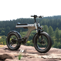 Direct usine 48V 20AH 20 pouces gros pneu Sport électrique E-Bike 25 km/h vitesse cadre en acier prêt Stock vélo de montagne électrique