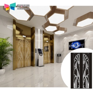 Foshan scala mobile 316 piastra in acciaio inox incisione lucidatura lamiere in acciaio inox porta dell'ascensore - Product Image 3