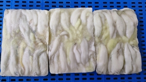 ซังปลาหมึก Illex แช่แข็งฤดูกาลใหม่ - Product Image 6