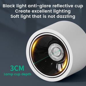 Projecteur LED 5W/7W/10W/12W/ Lumière descendante pour couloir, angle réglable, type plafond, salon, projecteur domestique - Product Image 4