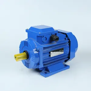 Hochleistungs-15-kW-Wasserturbinen-Minigeneratormotor der Y2-Serie Induktion 3-Phasen-Wechselstrommotor