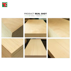 5X9 7Mm Hdf 5/8 3/4 <strong>2X2</strong> 8X8 1 4 410 5Mm 9Mm 4Mm 2Mm 3Mm 6Mm 1Mm Osb Mdf 4X8 E0 58 15 12 18 3M 5M 34 3 Commercia Plywood - Product Image 4