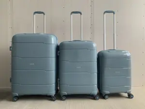 Полноцветная сумка для чемоданов