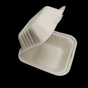 Biodegradable Sugarcane Bagasse Burger Hamburger Packing Box