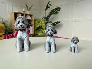 Servicio de Figuras 3D Astermon Otaku Culture, Diseño Personalizado con Foto, Ecológico, Biodegradable, Sostenible, Regalo, Modo de Una Sola Foto - Product Image 5