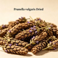 Prunella Vulgaris séchée en tiges, matière première aromatique végétale pour mélanges de boissons, pot-pourri et additif doux pour le conditionnement de la peau et du cuir chevelu
