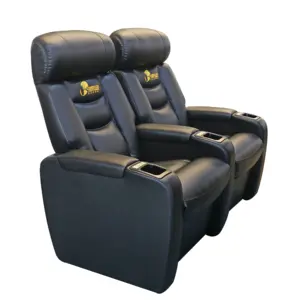 Customized Logo VIP Luxury Leather Cinema Chair Sofa Theater Seating