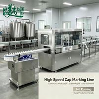 Machine de marquage laser personnalisable pour bouchons de bouteilles, pour l'industrie des boissons et pharmaceutique, équipement de traçabilité de la qualité avec code unique