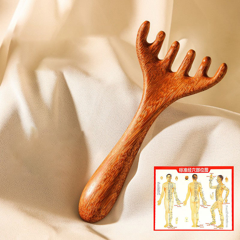 เขากวางหกกรงเล็บ + แผนที่ acupoint