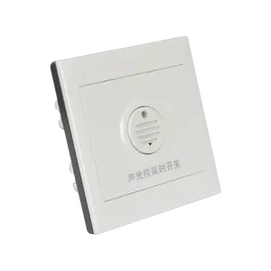 Wholesale Customized Two branches Control Time-Delay light switch with voice control