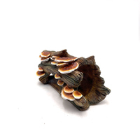 Cachettes et grottes décoratives pour reptiles, logement en bois pour se cacher, grotte pour reptiles