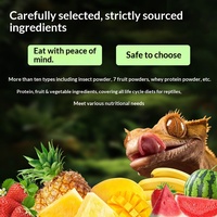 Hagedis Reptiel Gekko Fruitpoeder Probiotica Voedzame Puree voor Blauwtong & Leeuwenmanen Draken Drop Shipping