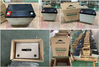 Batterie AGM à cycle profond ESG 12V 140ah 145AH 150ah pour stockage UPS, batterie solaire, prix de fabrication
