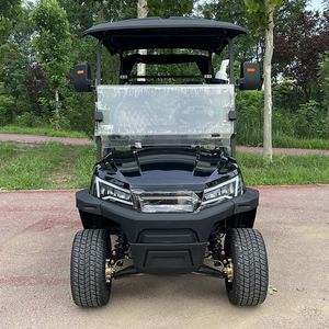 Carrito de Golf de 2 Plazas Apto para Campos de Golf, Equipado con Baterías de Litio/Plomo-Ácido Personalizables de 48V/60V/72V - Product Image 2