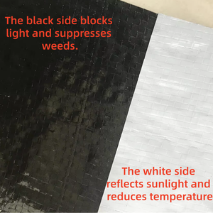 <span class=keywords><strong>Film</strong></span> tissé en polyéthylène haute densité (HDPE) renforcé 190 g/m², noir et blanc, avec revêtement anti-UV, imperméable, pour couverture de serre - Product Image 4