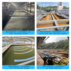Slibontwatering, gemeentelijke afvalwaterzuivering, flocculant, precipitant, polyacrylamide PAM - Product Image 3