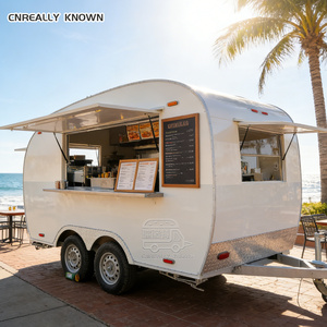 Camión de Comida con Parrilla Personalizada, Remolque Único para Cocina y Catering al Aire Libre - Product Image 6