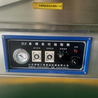 Industriële nieuwe hoogwaardige vacuümverpakkingsmachine voor het verpakken van groenten, fruit, maïs, aardappelen, knoflook en uien