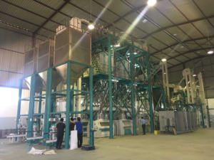 Planta de Molienda de Maíz Automática Hongdefa 240t/24h para Harina de Maíz <span class=keywords><strong>Xima</strong></span> en Mozambique, Gran Oferta - Product Image 6