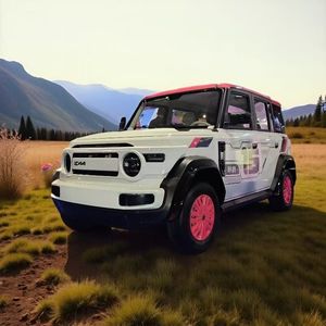 Vehículo Eléctrico Chino V23 I Sedán Totalmente Eléctrico por Según NEDC, Autonomía <100km, Potencia Máxima 7500W, Peso en Vacío 960kg, Peso Bruto 1000kg - Product Image 5