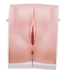 Modèle de guidage contructif pour une utilisation dans les écoles de médecine - Product Image 1