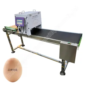 Ink jet eggs domino inkjet printer Egg Code Printing Machine For Sale