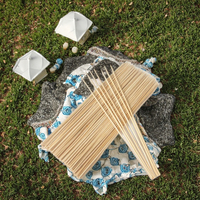 Vente chaude : Ensemble d'outils de barbecue multifonctionnels en bambou jetable de haute qualité, résistants à la chaleur, pour l'extérieur, avec logo personnalisé facilement