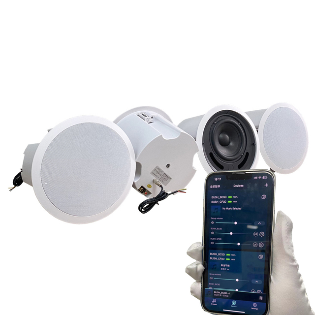 Mobile APP MUZO WIIM  Control WIFI  Smart  Ceiling Speaker 5.1 7.1 TV Multi-channel and Multi-room Cinema Speaker