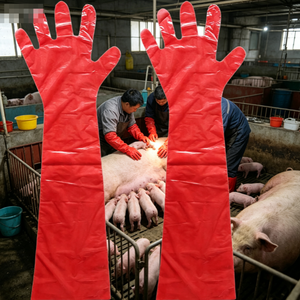 Guantes Veterinarios Desechables <span class=keywords><strong>de</strong></span> PE para Manejo y Examen en Granjas, <span class=keywords><strong>de</strong></span> Brazo Completo - Product Image 1