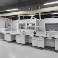 Banc de laboratoire en acier et bois à structure en C, résistant aux acides et aux alcalis |   Poste de travail central personnalisable pour les laboratoires de recherche et les écoles
