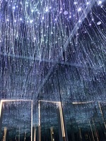 Rideau lumineux à fibres optiques à changement de couleur RGBW, effet cascade, éclairage à points lumineux, télécommande, lumières à fibres optiques LED