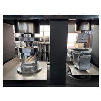 Máquina de Ensayo de Cemento con Capacidad de 300KN, 220V, Control por Microcomputadora, Hidráulica, Acero Grueso, Precisión Clase 0.5, IP55