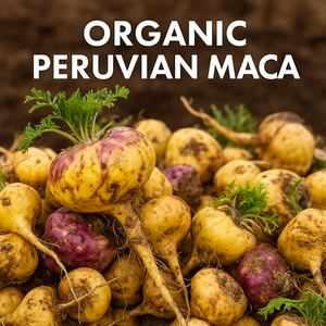 Gélules de Racine de Maca 1000mg pour Hommes et Femmes Complément à Base de Plantes pour Booster l'Énergie, l'Endurance & la Performance | Gélules de Maca Noire ODM - Product Image 2