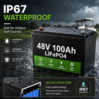 Водонепроницаемая аккумуляторная батарея LiFePO4 IP67 48В 100Ач для гольф-каров с интеллектуальной Bluetooth BMS системой, замена для Club Car, EZGO, Yamaha