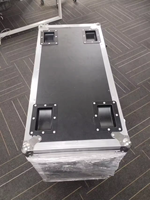 Machine à étincelles froides 2-en-1 avec projecteur PAR et flight case pour spectacles sur scène