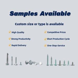 Shqd Roestvrij Staal A2 A4 304 316 Din912 1000 Schroeven <span class=keywords><strong>Titanium</strong></span> Chirurgische Schroeven Prijs Schroef Fabrikanten Lijn - Product Image 5