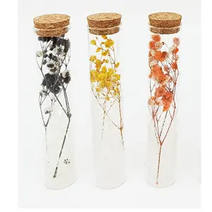 Handgemachte ewige Blume konservierte Pflanzen echte Blumen trockene Blumen in Glasglas Flasche für Frauen Büro Schreibtisch Tisch dekoration