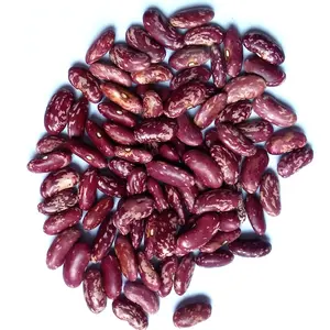 Chinese Wholesale Nihewan Long Shape Red Beans Speckled Pinto Kidney Beans
