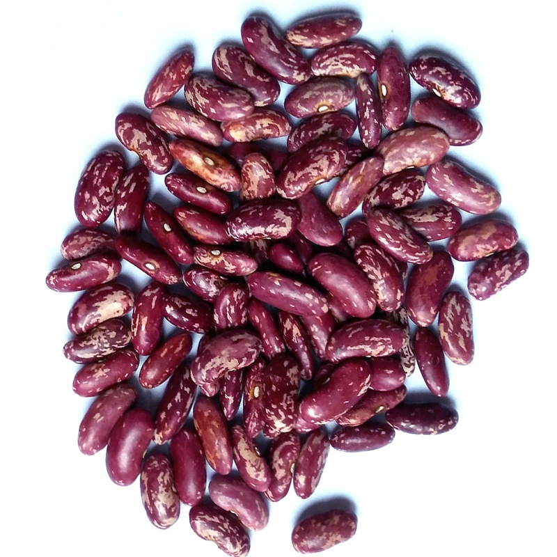 Chinese Light Speckled Kidney Beans Sugar