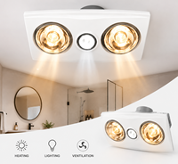 Chauffe-plat de plafond 550W à double lampe chauffante, éclairage LED 8W, protection contre la surchauffe, 220V à 240V, pour hôtel, maison, salle de bain