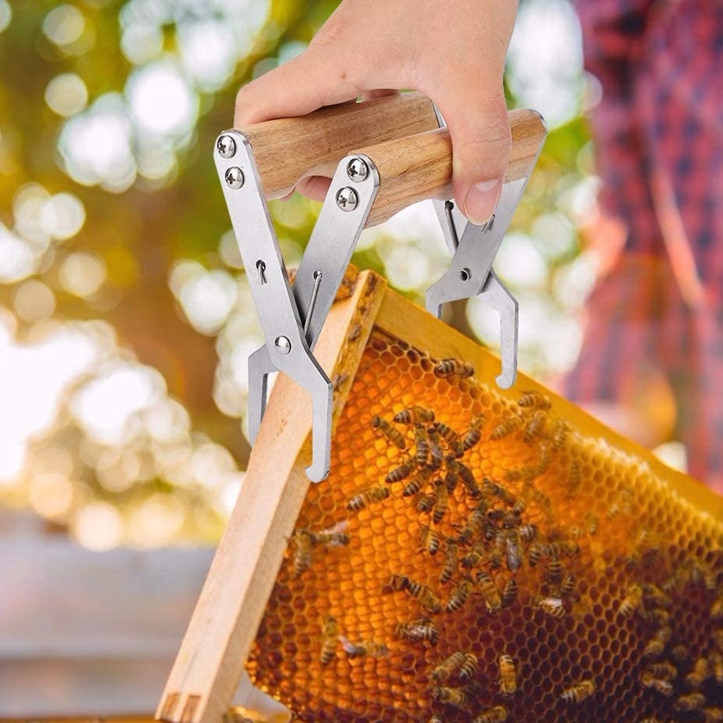 Attrezzo Apicoltura In Acciaio Inox - Raschietto J-Hook Per Alveari Con Design Antiruggine - Foto 6