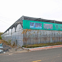 Serres agricoles à travées multiples Tunnel Film Serre Système hydroponique Laitue, Serre à tomates Équipement agricole