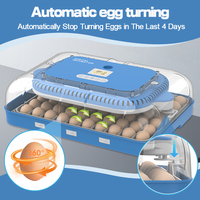 WONEGG Contrôle automatique de l'humidité Élément chauffant pour incubateur d'œufs commercial 70 à double puissance
