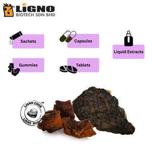 มาเลเซีย ผลิตภัณฑ์ขายดี ชากา ลิกโน CG06 ได้รับการรับรองฮาลาลและโคเชอร์ อาหารเสริม วัตถุดิบสำหรับผลิตภัณฑ์เสริมอาหารแบบ OEM ODM - Product Image 4