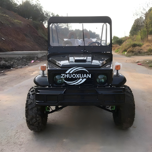 Buggy Eléctrico Clásico de Alta Demanda, Apariencia Ajustable, Vehículo Todoterreno Multisitio - Product Image 4