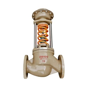 Regulador de Cilindro de Gas con Control Integrado para Almacenamiento de Alta Presión, Regulador de Agua ZZYP 100, Suministro de Fábrica - Product Image 1