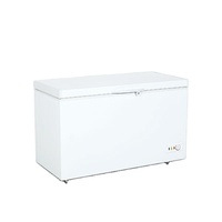 Congélateur coffre à grande capacité 250L à ouverture par le haut, avec serrure/clé et éclairage LED, modèle BD-250Q – Vente chaude usine