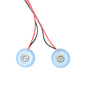 PZT <strong>Micropore</strong> Atomizing Disc Piezo Ceramic Plate for Window Cleaning Robot Spray Module - Product Image 3